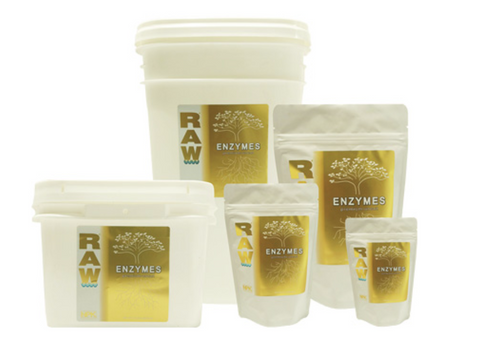 buy raw enzymes online