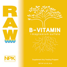 Load image into Gallery viewer, RAW B-VITAMIN

